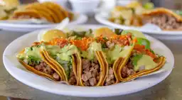 Tacos Primo San Nicolas Menú Precios México 2024